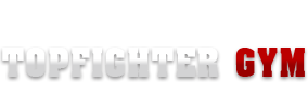 Topfighter Logo